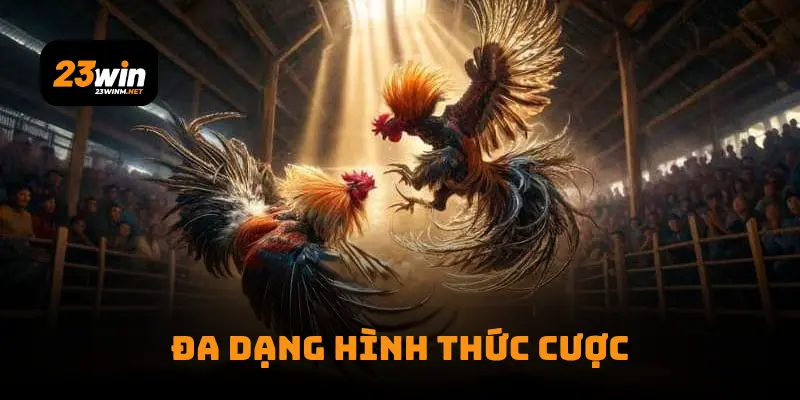 Đa dạng hình thức cược